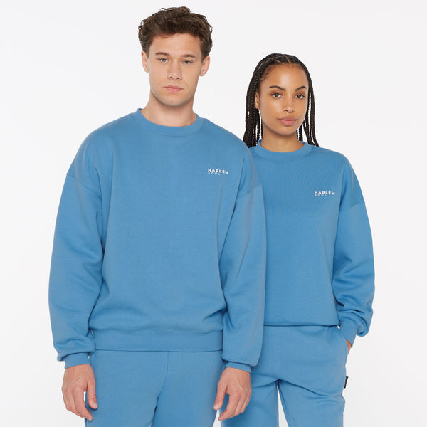 AD-AM Sweatshirt Unisex electric sky