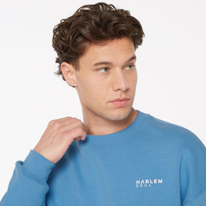 AD-AM Sweatshirt Unisex electric sky