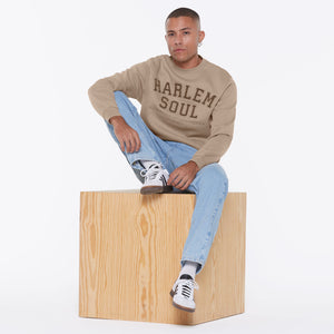 MA-TT Sweatshirt earth