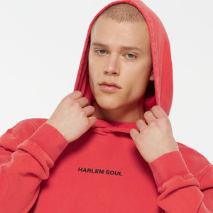 MON-TEL Hoodie printed glory